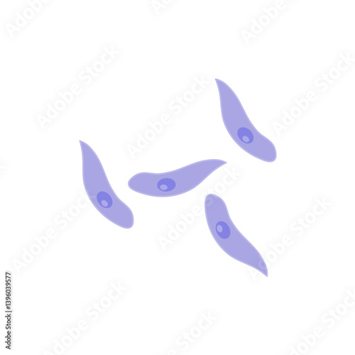 Toxoplasma gondii  bacteria. Vector illustration 