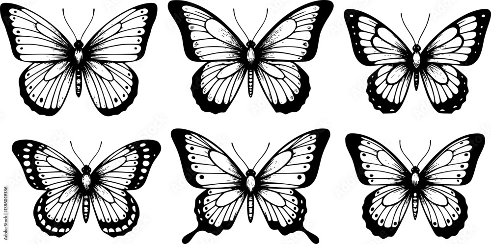 Obraz premium Set of Butterfly Silhouette illustration vector