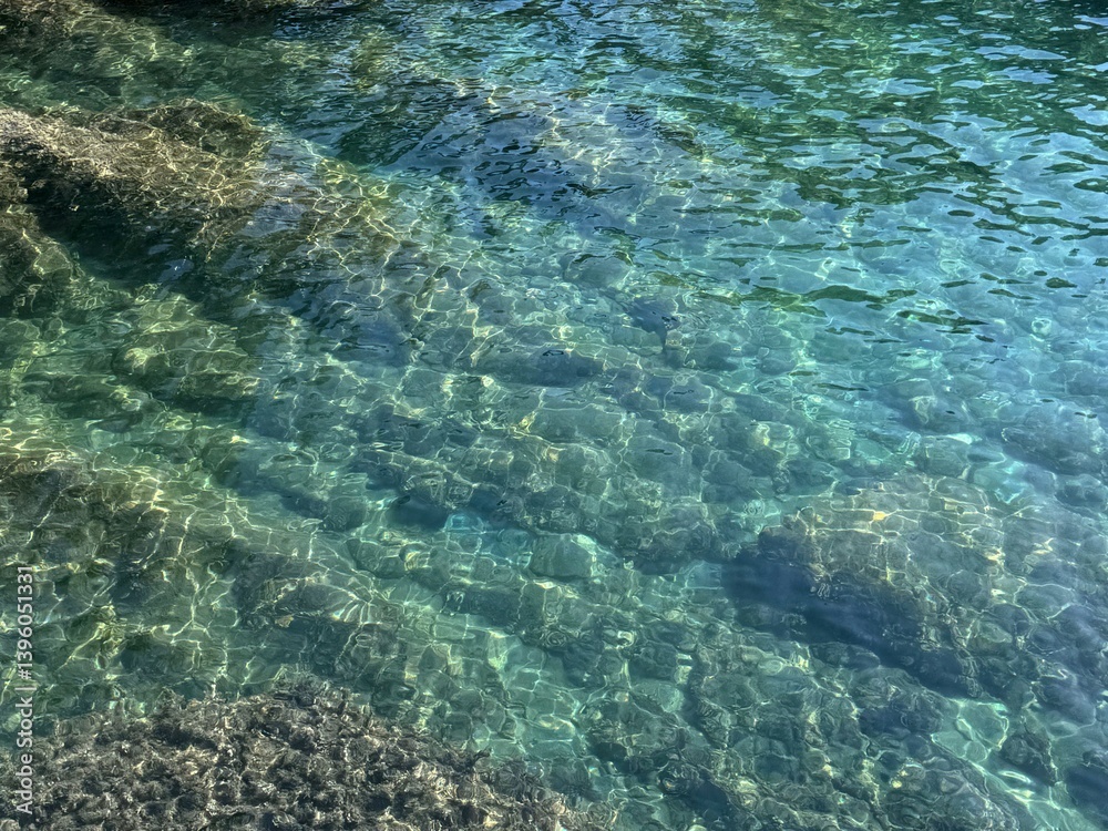 Fototapeta premium Amazing clear sea with underwater algae. 