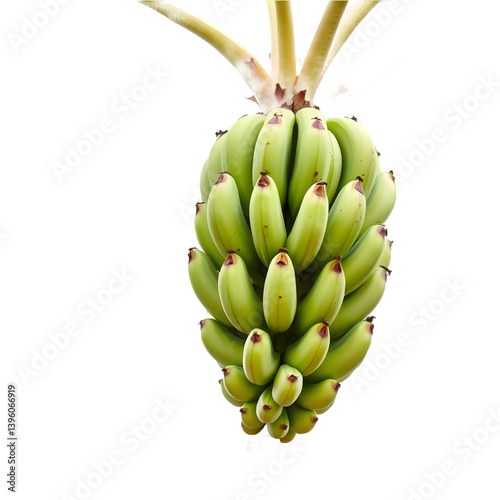 A bunch of green bananas on a tree.