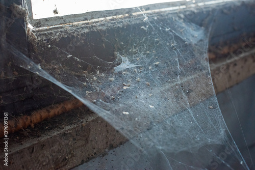 Dusty window detail, Window Detail and Cobweb texture background.