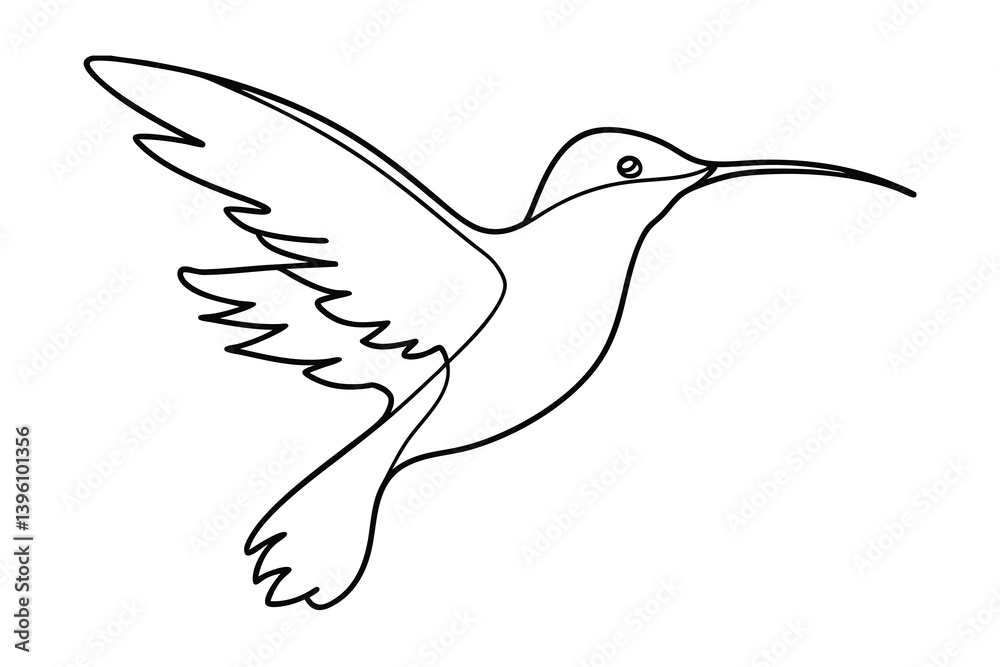 Fototapeta premium Hummingbird Line Art Flying Illustration Simple Minimalist Design Modern Outline Isolated
