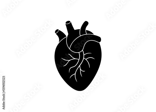Heart Anatomy: A stark black illustration of the human heart, showcasing its intricate structure, a symbol of life, health, and the vital center of the body. 
