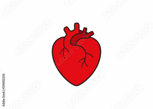 Anatomical Heart in Perspective: A vividly colored anatomical heart illustration, showcasing the organ's core shape and structure, ideal for medical educational content and health concepts.