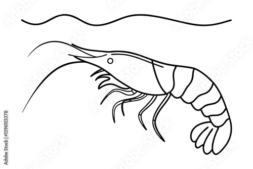 Black Outline Shrimp Drawing Under The Water In White Background Design Element