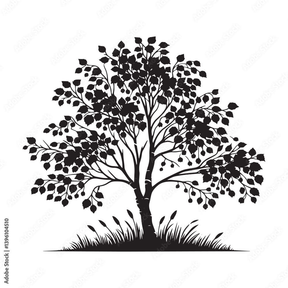 Fototapeta premium Alder Tree Vector Silhouette, Elegant Nature Tree Outline, Forest-Inspired Clipart for Wall Art, Logos, Stickers, Apparel, Digital Prints, Crafts, Posters, and Home Decor.