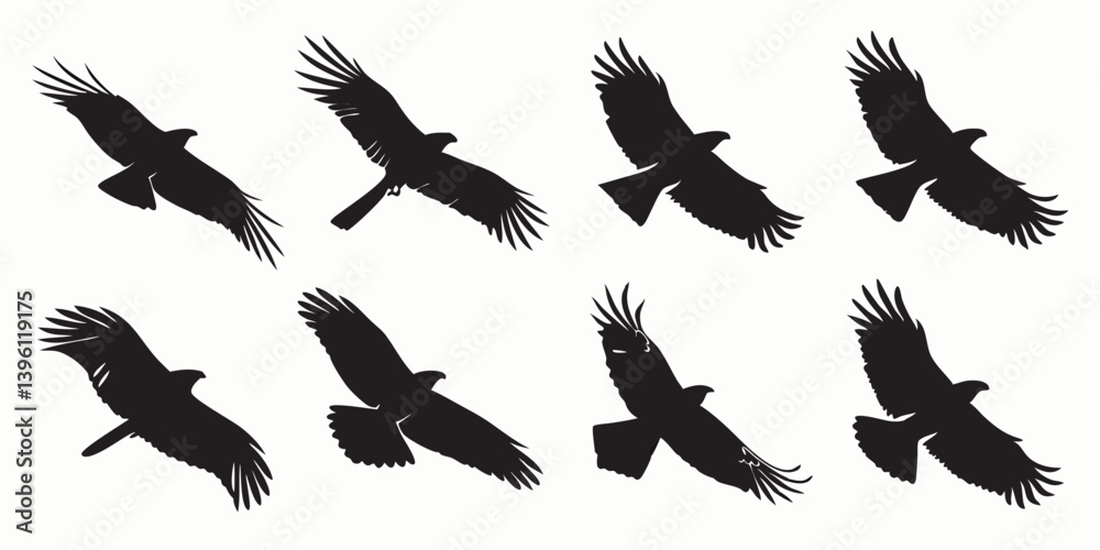 Obraz premium Black and White Eagle Silhouette Bird Flight Sequence Vector Art
