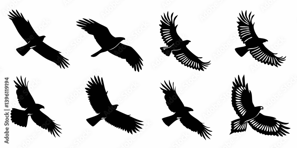Fototapeta premium Eagle Bird Silhouette in Flight Animation Sequence Black and White Vector Clip Art