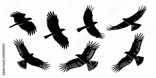 Black Eagle Silhouettes Flying Birds of Prey Wildlife Nature Vector Art Illustration Set