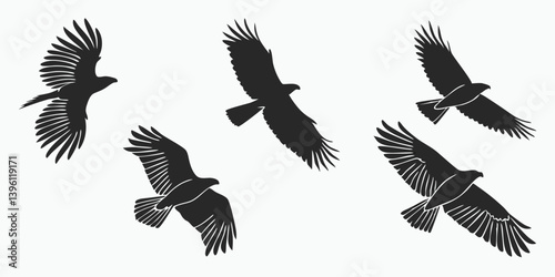 Five Black Eagles Flying Silhouettes Vector Graphic Birds of Prey Raptors Soaring Flight Nature Wildlife Art Illustration Design Image