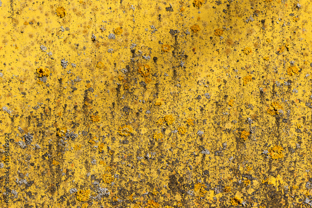 Vivid close-up photo of a yellow painted metal wall with lichn and rust