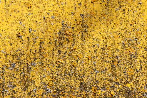 Obraz na płótnie Vivid close-up photo of a yellow painted metal wall with lichn and rust w salonie