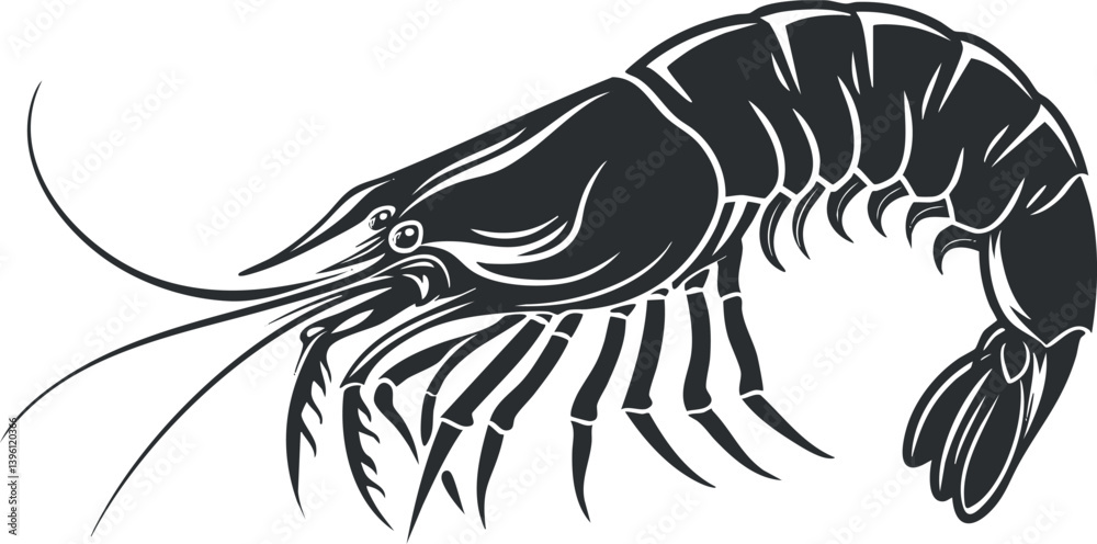 Fototapeta premium Detailed black and white illustration of a shrimp showcasing its features and aquatic nature