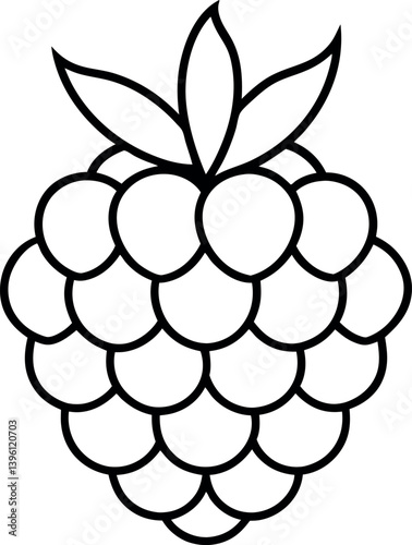 marionberry line art on transparent background