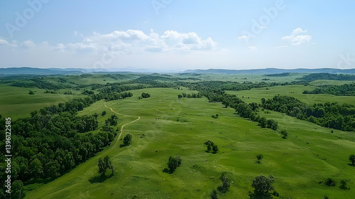 Vast Green Field Landscape Under Clear Blue Sky
