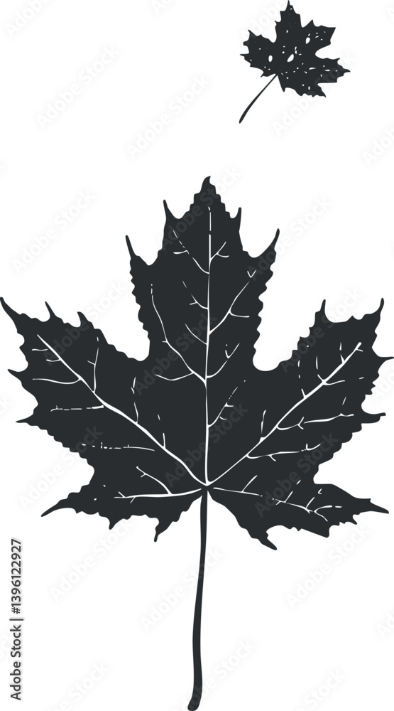 Fototapeta premium A detailed silhouette of a large maple leaf with a smaller leaf above it.