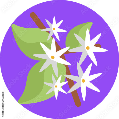 Jasmine flower with five delicate petals and small leaves.