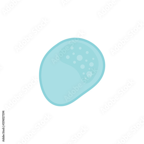 Vacuole structure anatomy