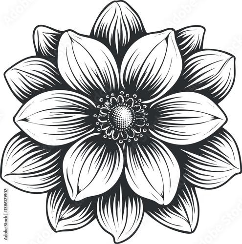 Detailed black and white illustration of a symmetrical flower with intricate petals and center.