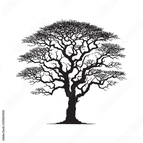 Ebony Tree Vector Silhouette, Elegant Nature Tree Outline, Exotic Hardwood Clipart for Wall Art, Logos, Stickers, Apparel, Digital Prints, Crafts, Posters, and Home Decor.