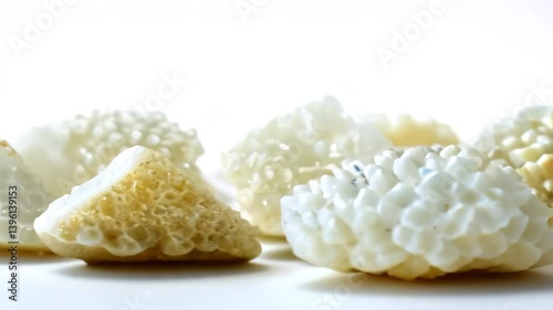 A collection of various White Coral fragments displayed on a light background. The corals exhibit different shapes and textures, showcasing their natural beauty and diversity. Mineral pattern.