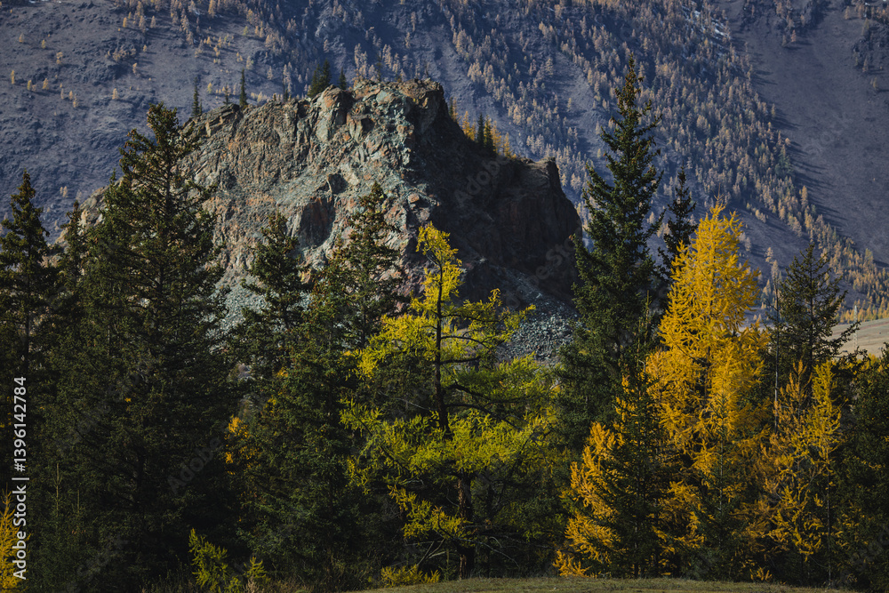 Rocky cliffs rise above a golden autumn forest in the Altai Republic, creating a breathtaking blend of rugged terrain and vibrant seasonal colors.
