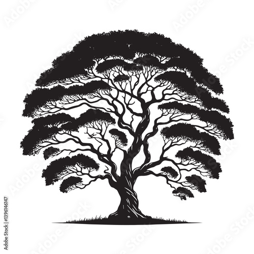 Elm Tree Vector Silhouette, Majestic Nature Tree Outline, Sturdy and Elegant Branches Clipart for Wall Art, Logos, Stickers, Apparel, Digital Prints, Crafts, and Posters.