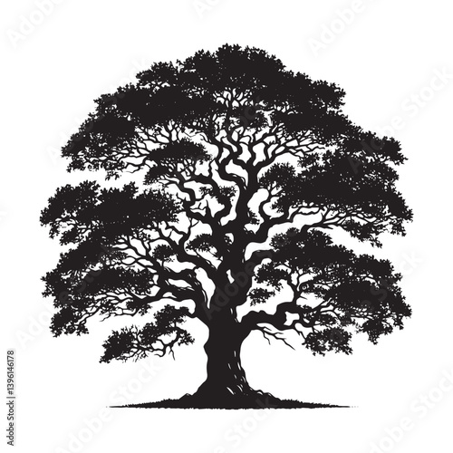 Elm Tree Vector Silhouette, Majestic Nature Tree Outline, Sturdy and Elegant Branches Clipart for Wall Art, Logos, Stickers, Apparel, Digital Prints, Crafts, and Posters.