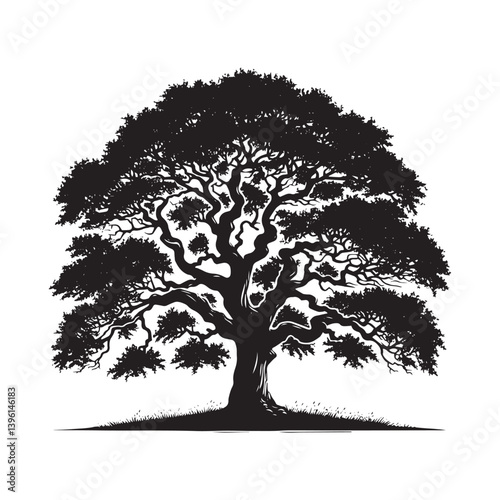Elm Tree Vector Silhouette, Majestic Nature Tree Outline, Sturdy and Elegant Branches Clipart for Wall Art, Logos, Stickers, Apparel, Digital Prints, Crafts, and Posters.