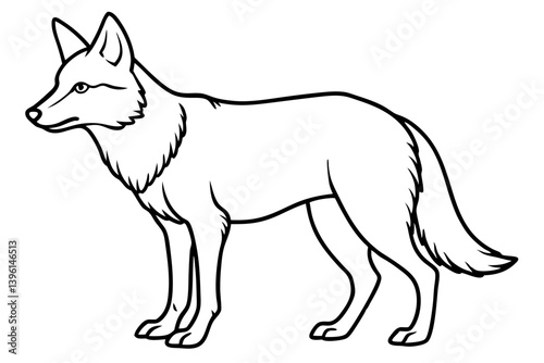 coyote silhouette line art vector illustration