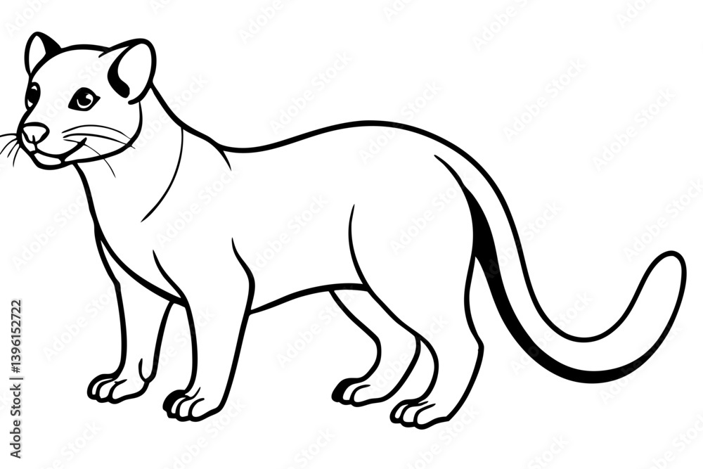 fossa silhouette line art vector illustration fossa silhouette line art vector illustration