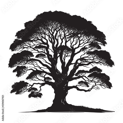 Sycamore Tree Vector Silhouette, Majestic Tree Outline, Nature-Inspired Clipart for Wall Art, Logos, Stickers, Apparel, Digital Prints, Crafts, Posters, and Home Decor.