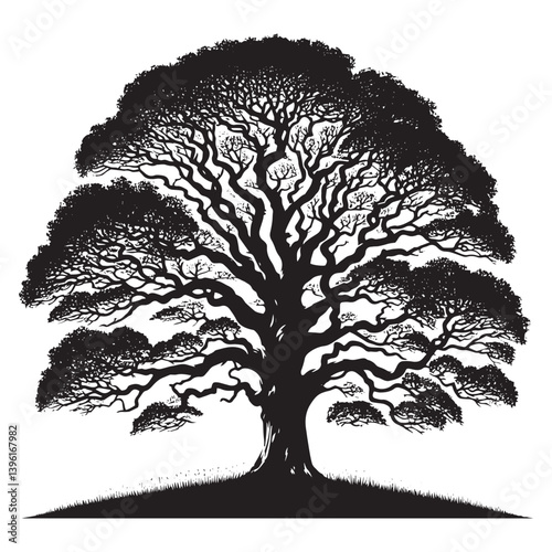 Sycamore Tree Vector Silhouette, Majestic Tree Outline, Nature-Inspired Clipart for Wall Art, Logos, Stickers, Apparel, Digital Prints, Crafts, Posters, and Home Decor.