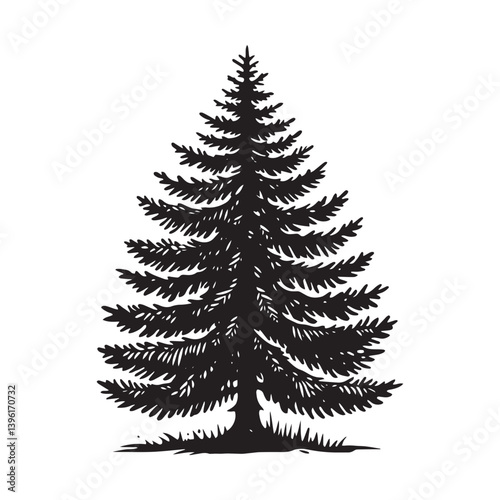 Spruce Tree Vector Silhouette, Elegant Evergreen Tree Outline, Nature-Inspired Clipart for Wall Art, Logos, Stickers, Apparel, Digital Prints, Crafts, Posters, and Home Decor.