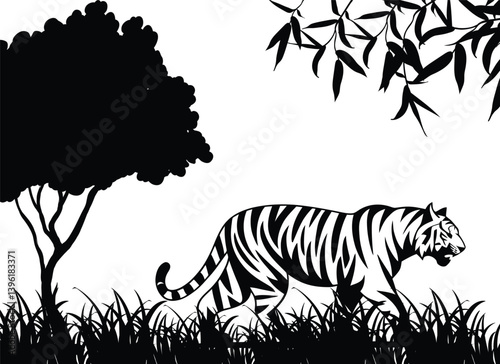 Tiger Silhouette in Jungle