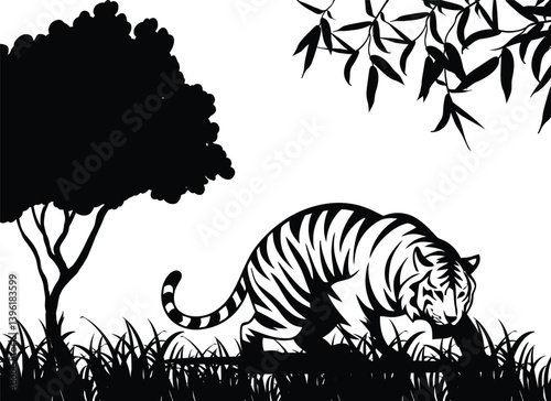 Tiger Silhouette in Jungle