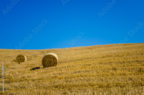 Un campo di fieno dopo la mietitura con due rotoballe in una giornata estiva con il cielo terso photo
