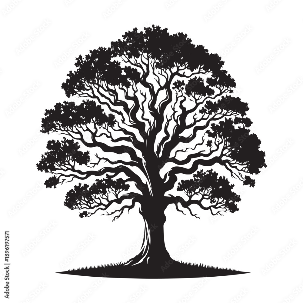 Fototapeta premium Oak Tree Vector Silhouette, Majestic Tree Outline, Nature-Inspired Clipart for Wall Art, Logos, Stickers, Apparel, Digital Prints, Crafts, Posters, and Home Decor.