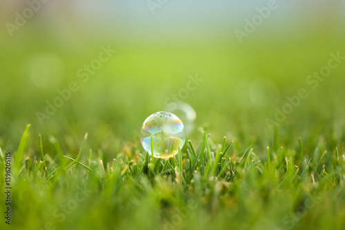 Beautiful soap bubble on gr...