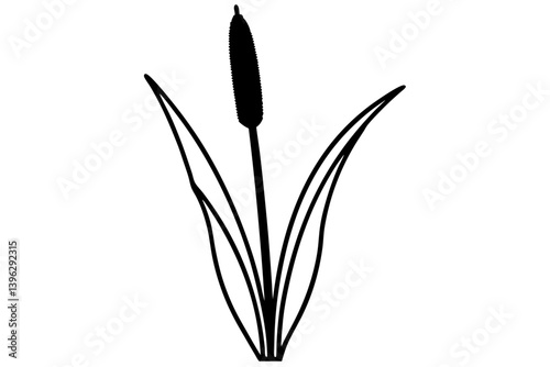cattail silhouette vector
