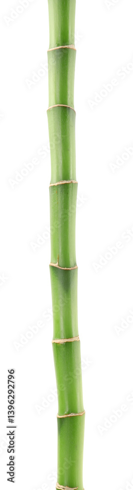 Beautiful green bamboo stem isolated on white Beautiful green bamboo stem isolated on white