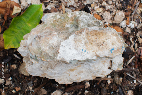 A large, rugged rock with white, beige, and light brown tones, featuring hints of green and blue markings. Situated on a ground covered in dry leaves, small stones, and twigs, with a vibrant green lea
