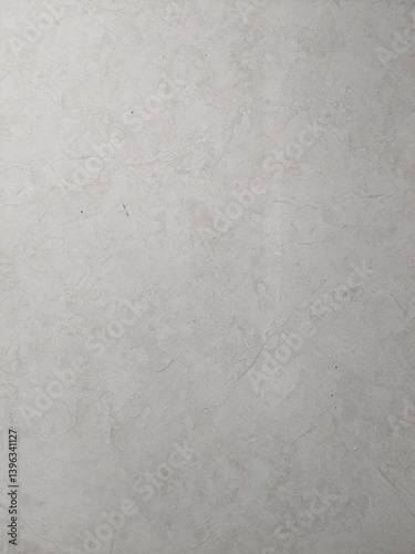 Close-up of a light gray marble tile surface with subtle veining and texture details.