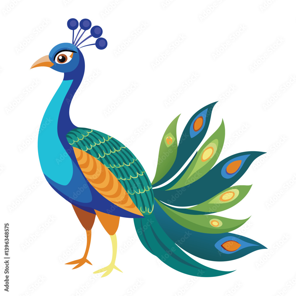 Obraz premium Peacock isolated on white background