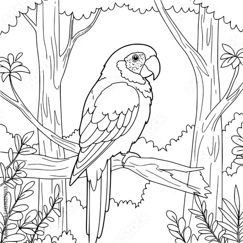 Bird Illustration, drawing book, coloring page for kids. Black and white.