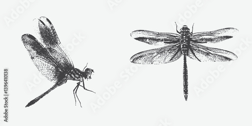 Dragonfly for grunge punk Y2K collage design with halftone stipple effect. Vector illustration in stipple halftone brutalist retro design
