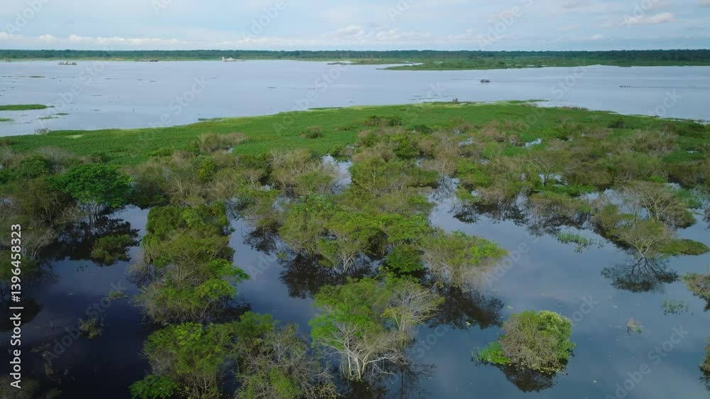 Aerial View of Rising Amazon River Flooding Shores Near Iquitos with Visible Plants and Trees Aerial View of Rising Amazon River Flooding Shores Near Iquitos with Visible Plants and Trees