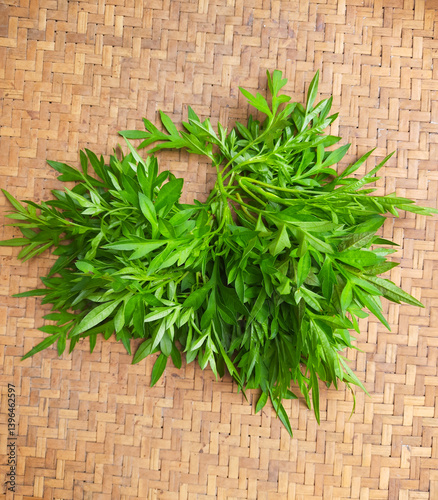 Kenikir leaves, aromatic and rich in nutrients. A traditional leafy green often used in Indonesian cuisine for its unique aroma and health benefits.