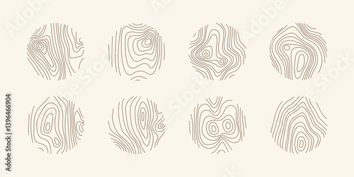 Wood tree pattern texture icon, trunk with annual circle line of age pictogram, set vector design