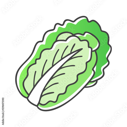 napa cabbage icon, napa cabbage vector illustration-simple illustration of napa cabbage, perfect for napa cabbage logos and icons